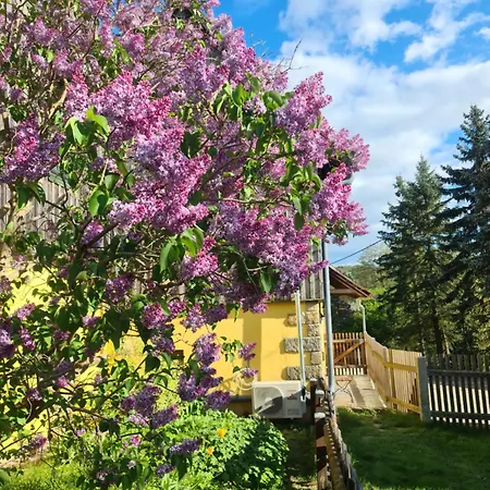 بيت للعطل Gastehaus Zum Rosengarten دريسدن