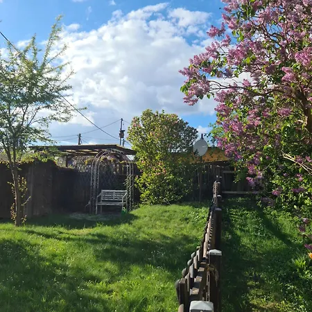 بيت للعطل Gastehaus Zum Rosengarten دريسدن